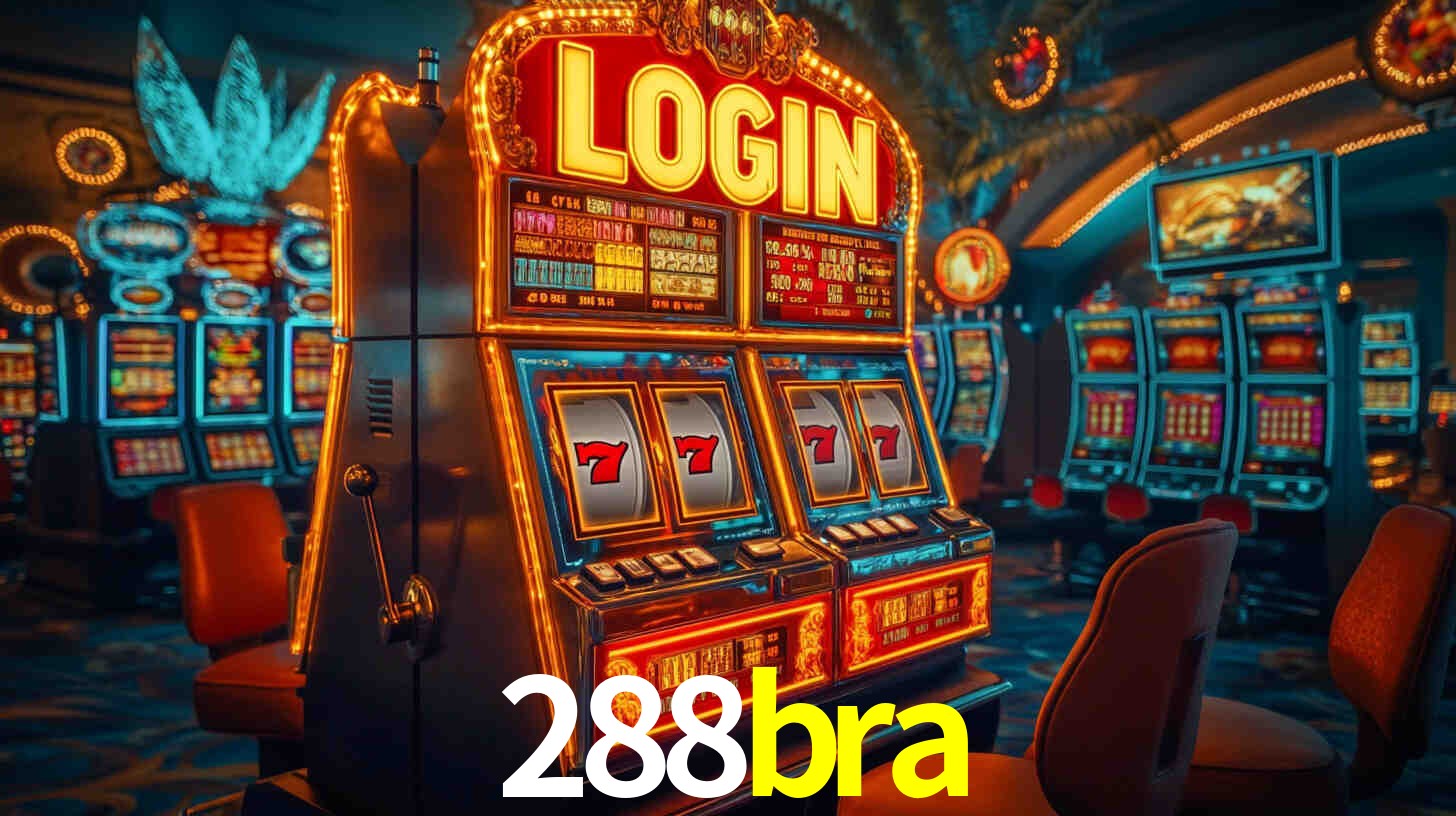 288bra App Interface